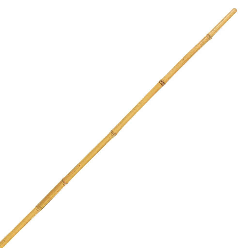 10329315.jpg img